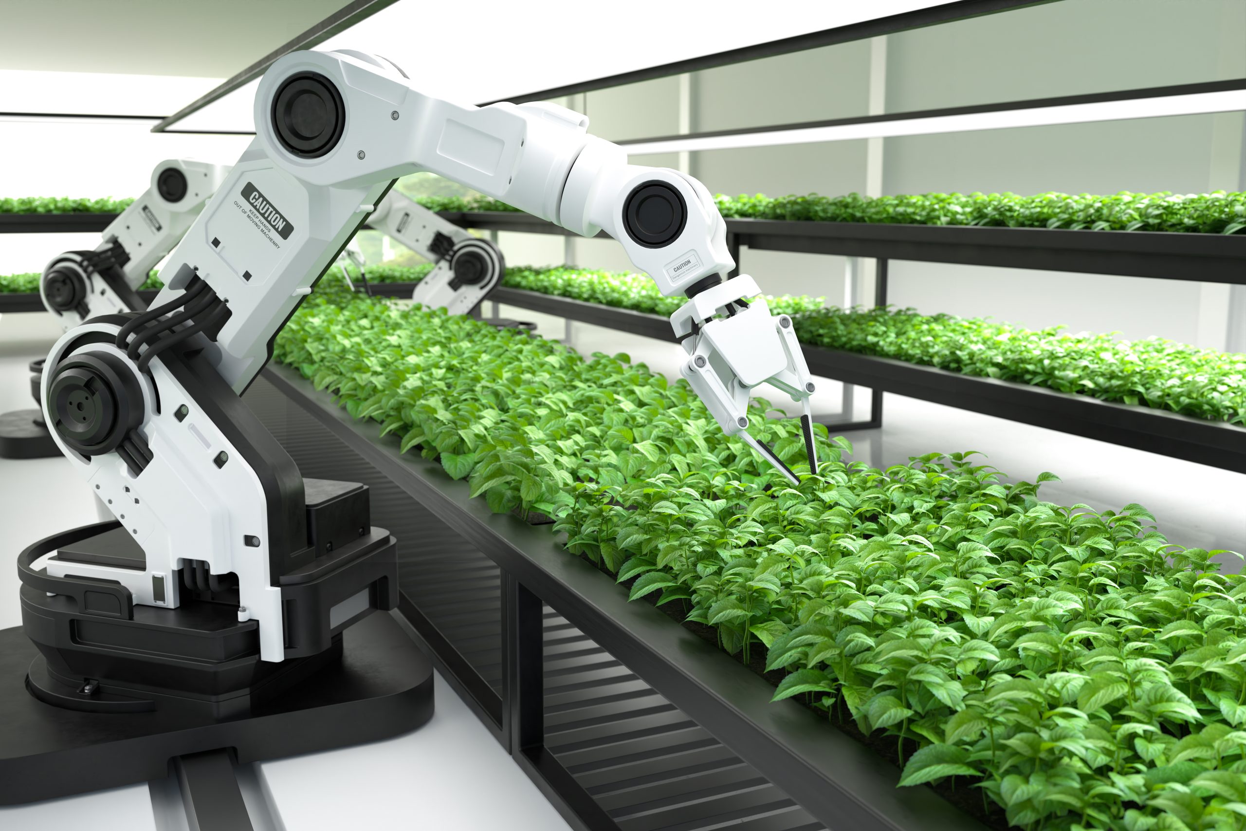 Robot Pertanian