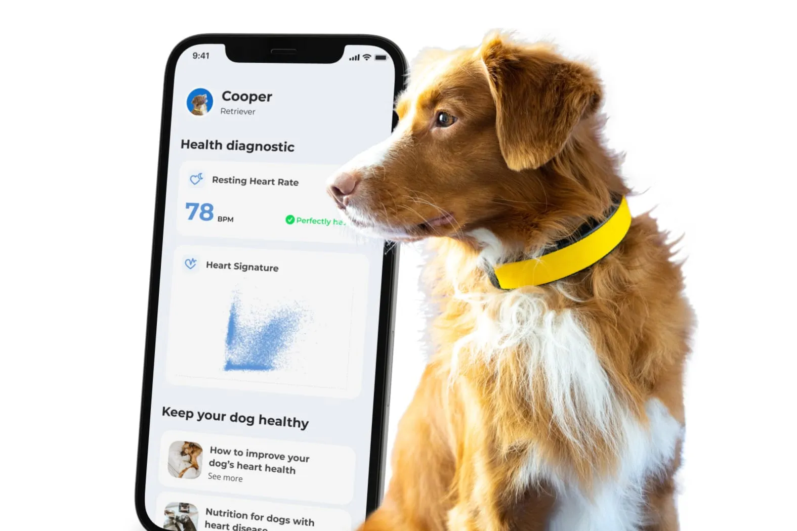 Smart Pet Collar: Solusi Modern untuk Melacak Hewan Peliharaan Secara Real-Time