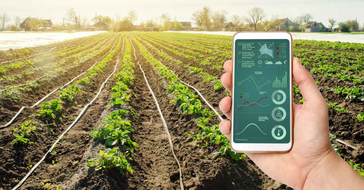 Smart Farming: Teknologi yang Meningkatkan Produktivitas Petani