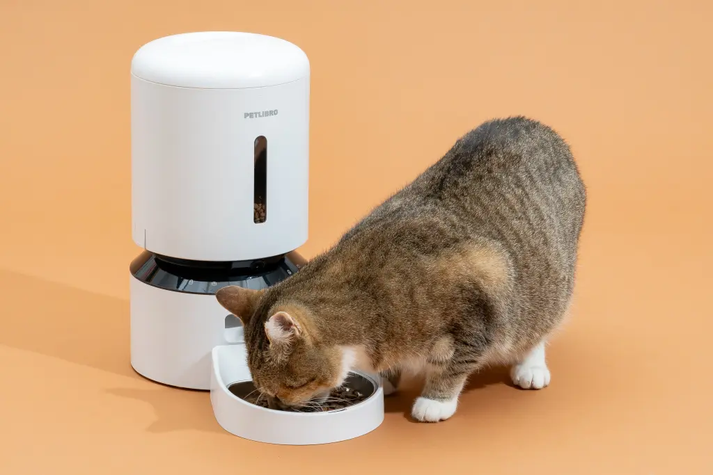 Pet Feeder