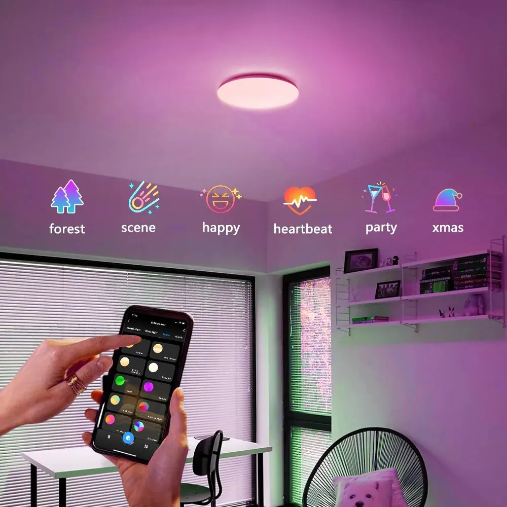 Ceiling Lamp
