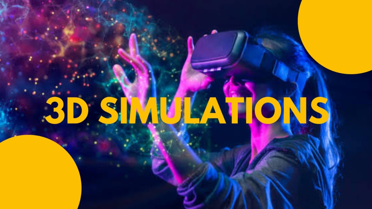 3D Simulation