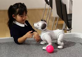 Robotic Pet