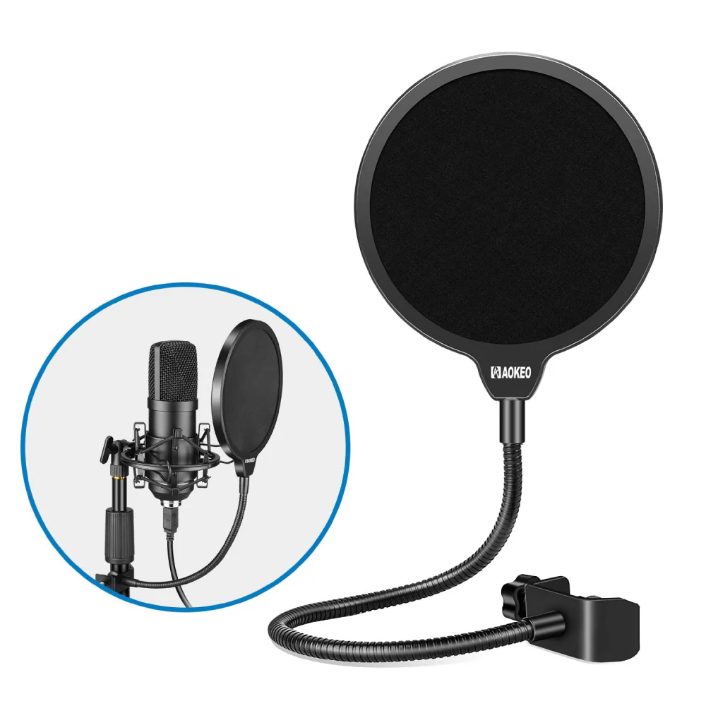 Pop Filter Mic