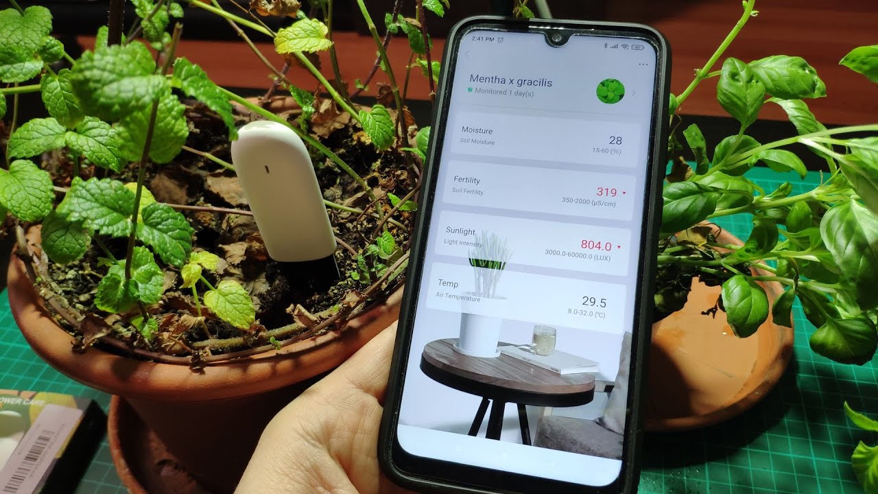 Plant Monitor