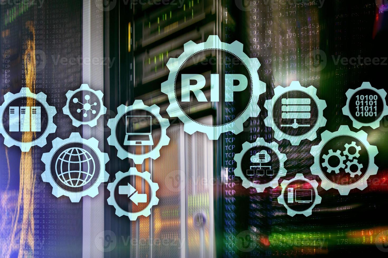 RIP Protocol