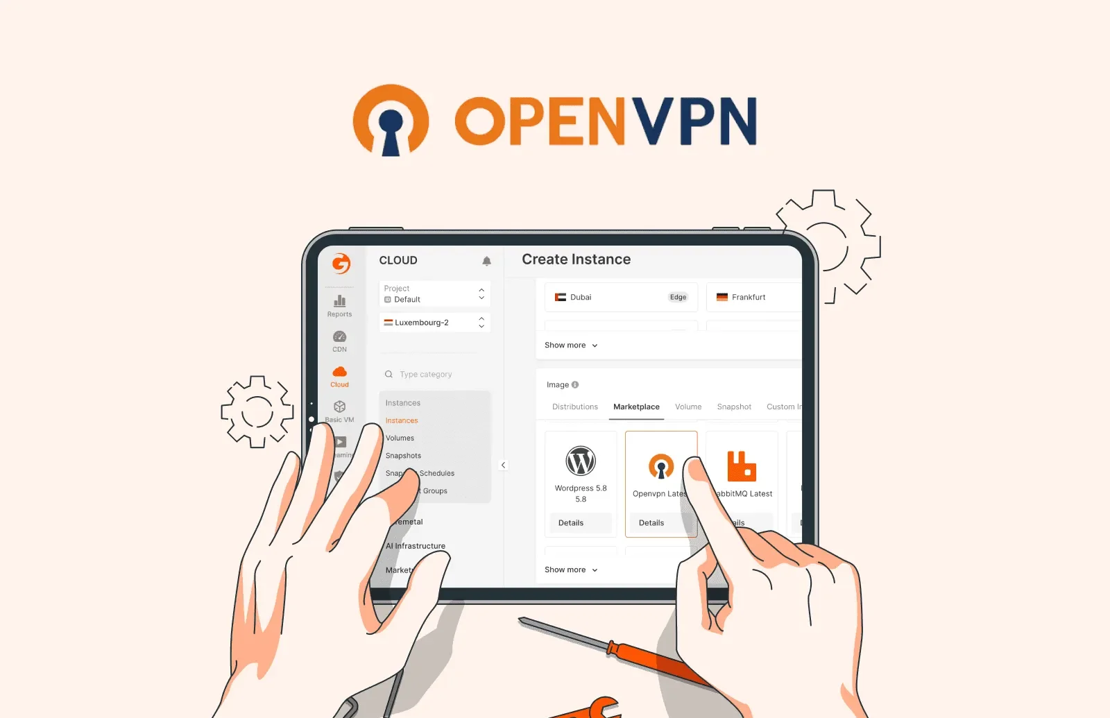 OpenVPN