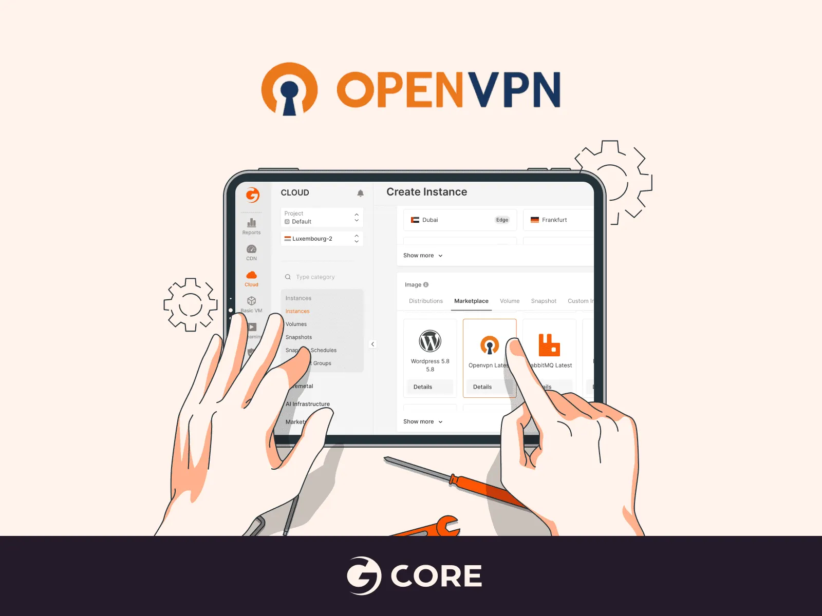 OpenVPN