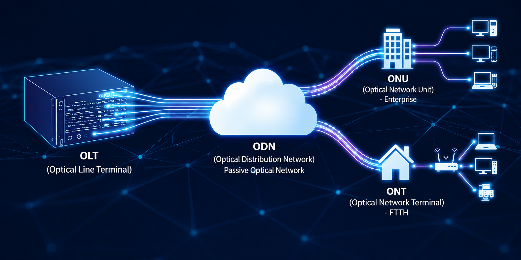 Optical Distribution Network